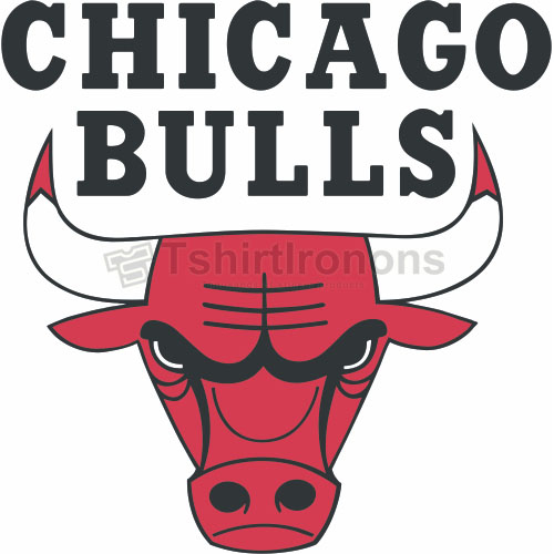 Chicago Bulls T-shirts Iron On Transfers N933